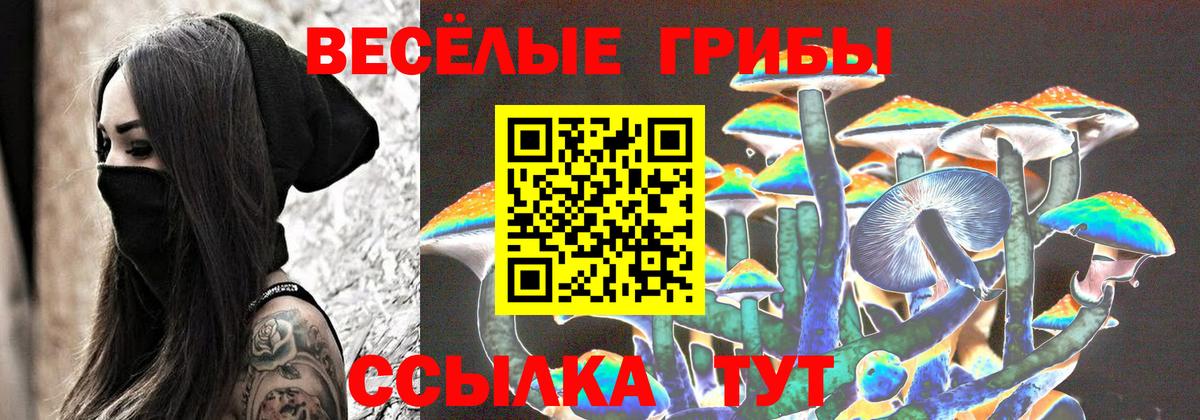 Псилоцибиновые грибы Psilocybine cubensis Санкт-Петербург